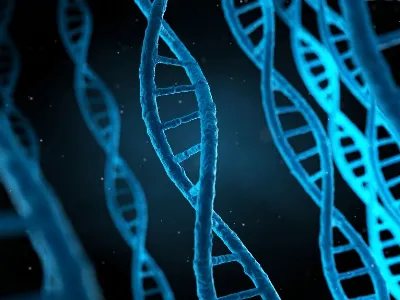 Les secrets cachés dans votre code génétique