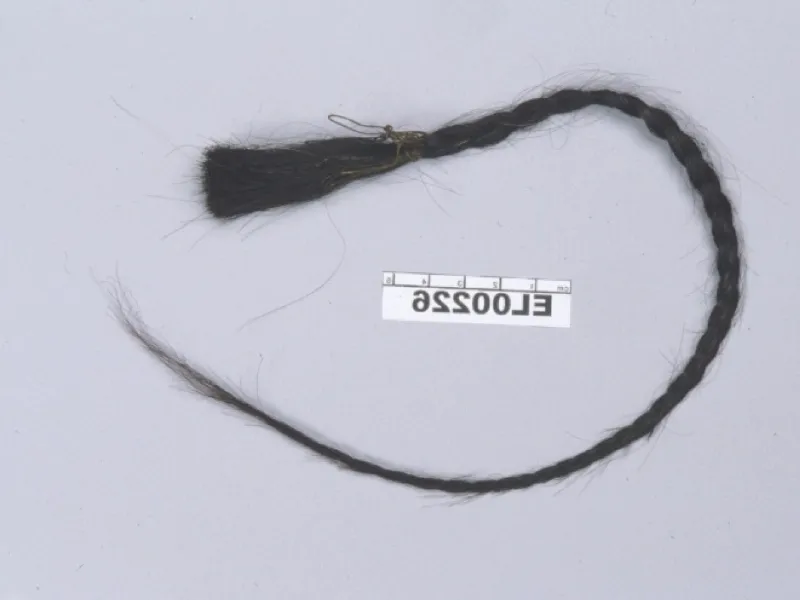 Établir des liens de parenté grâce à la génétique